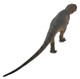 PNSO Giganotosaurus - Lucas - New Model - Back View